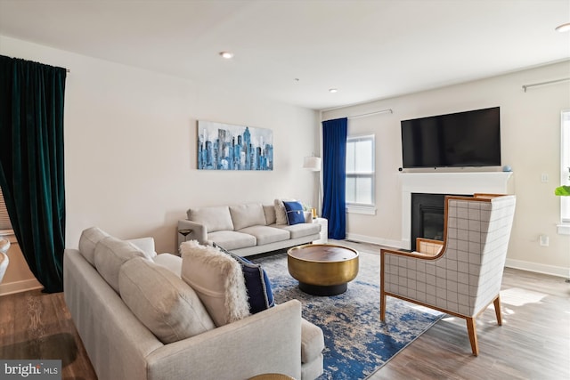 living room with hardwood / wood-style floors