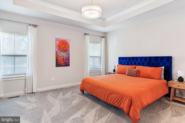 bedroom featuring carpet, multiple windows, and a raised ceiling