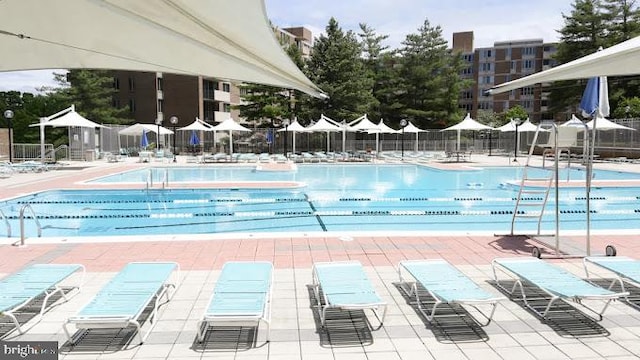 view of pool with a patio