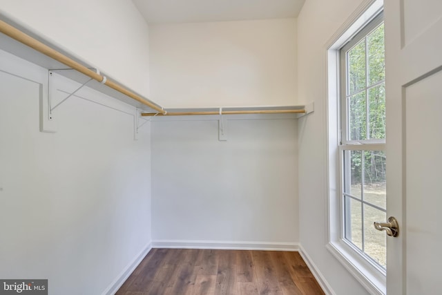 walk in closet featuring dark hardwood / wood-style floors