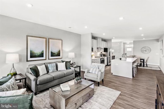 living room featuring hardwood / wood-style flooring and sink