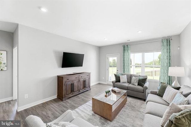 living room featuring light wood-type flooring