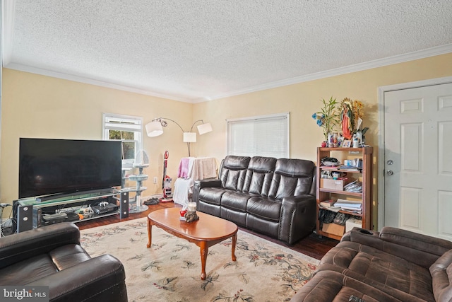 living room with a textured ceiling, wood-type flooring, and ornamental molding