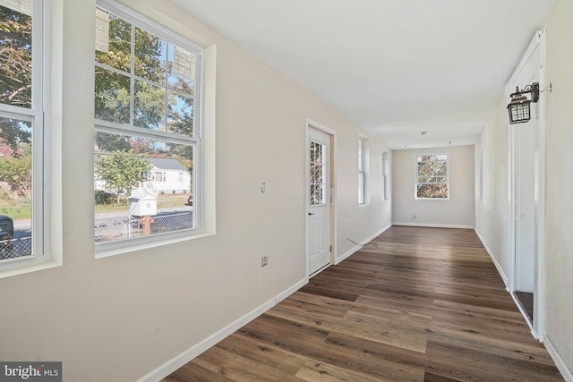 corridor featuring dark hardwood / wood-style flooring