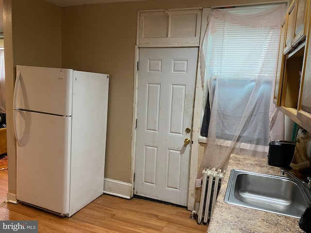 kitchen featuring white refrigerator, light hardwood / wood-style flooring, radiator, and sink