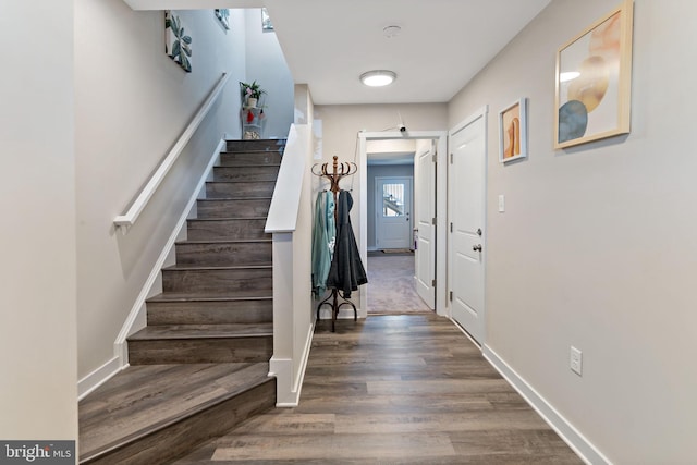 foyer with dark hardwood / wood-style floors