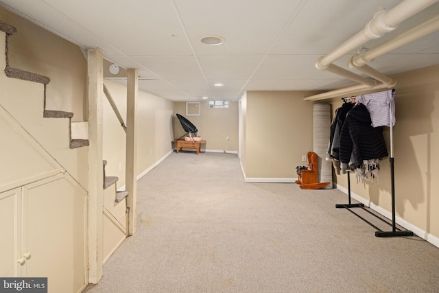 basement with a drop ceiling and carpet floors