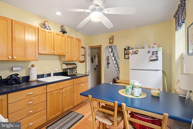 kitchen with sink, white fridge, light hardwood / wood-style floors, and ceiling fan