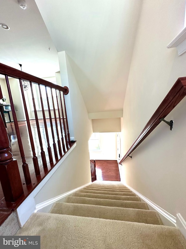 stairs with carpet