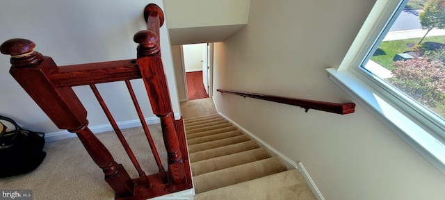 stairs featuring carpet floors