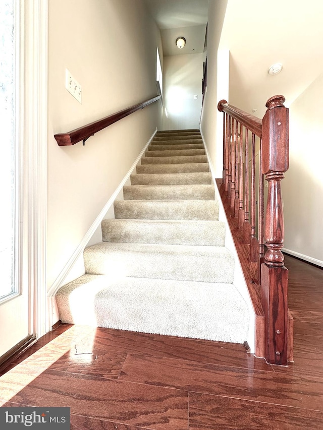 staircase featuring hardwood / wood-style flooring