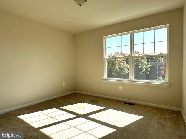 unfurnished room with carpet flooring