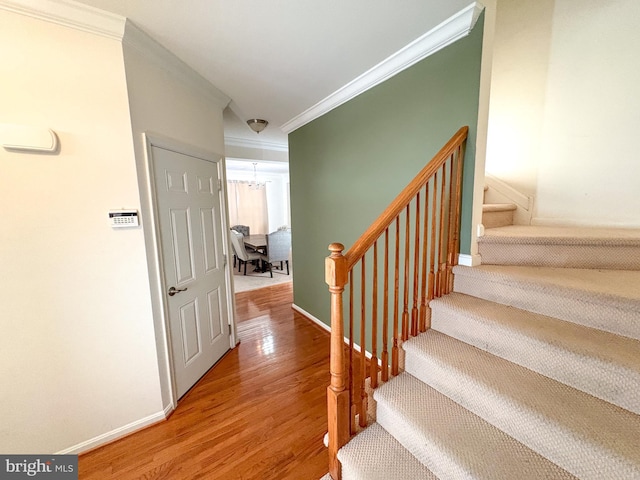 stairs featuring hardwood / wood-style flooring and crown molding