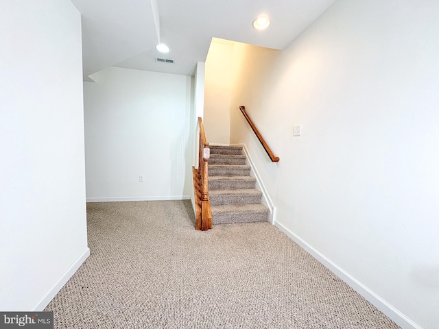 staircase featuring carpet