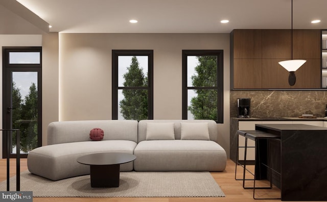 living room featuring light hardwood / wood-style floors