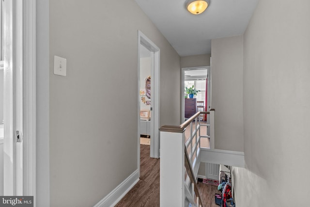 hall featuring dark hardwood / wood-style floors