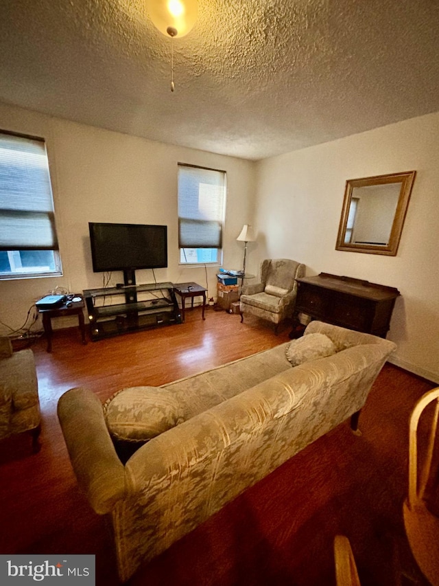 living room with a textured ceiling and hardwood / wood-style flooring