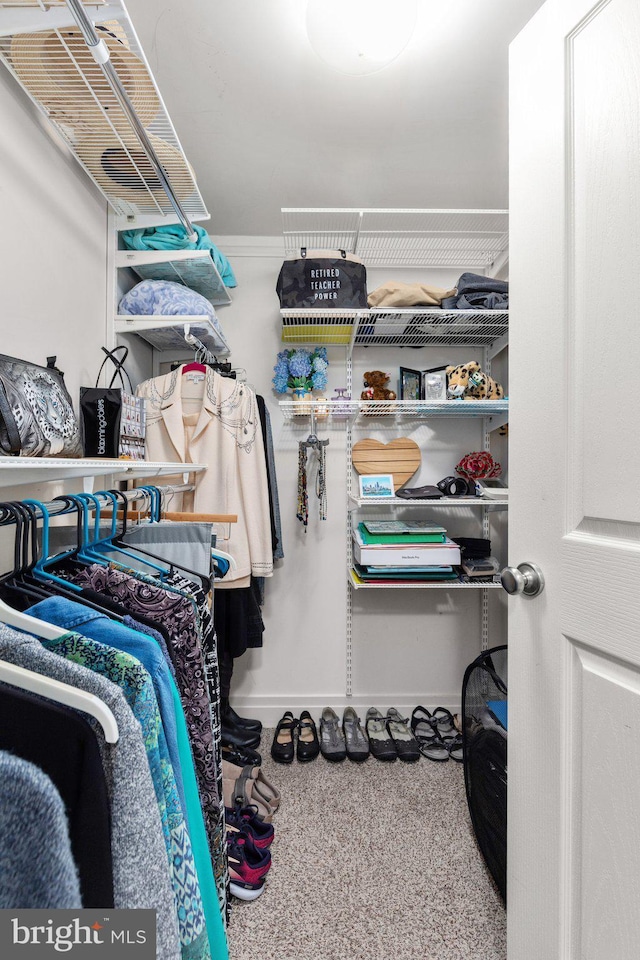 walk in closet with carpet flooring
