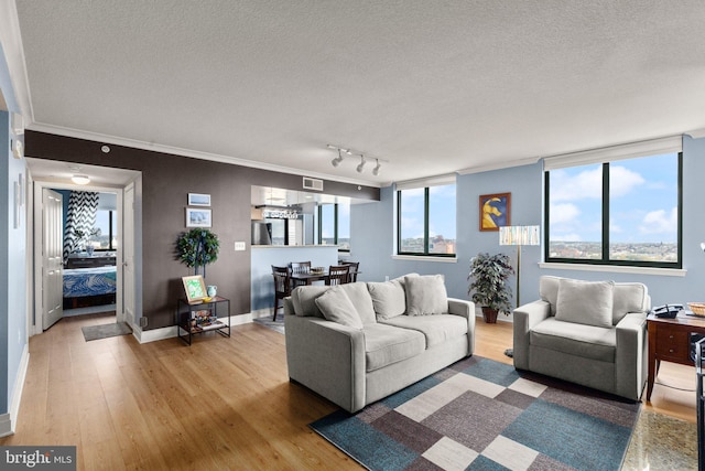 living area featuring a textured ceiling, light wood finished floors, baseboards, and ornamental molding