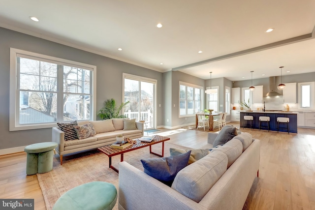 living room featuring crown molding, sink, and light wood-type flooring