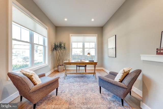 office featuring light hardwood / wood-style flooring