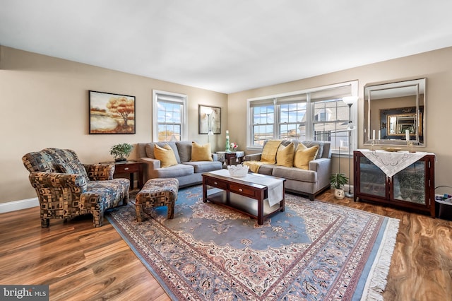 living room with hardwood / wood-style flooring