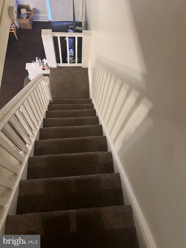 staircase with carpet floors