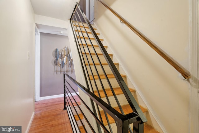 staircase featuring wood-type flooring