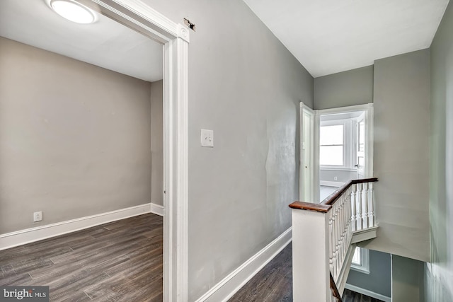 staircase with hardwood / wood-style flooring