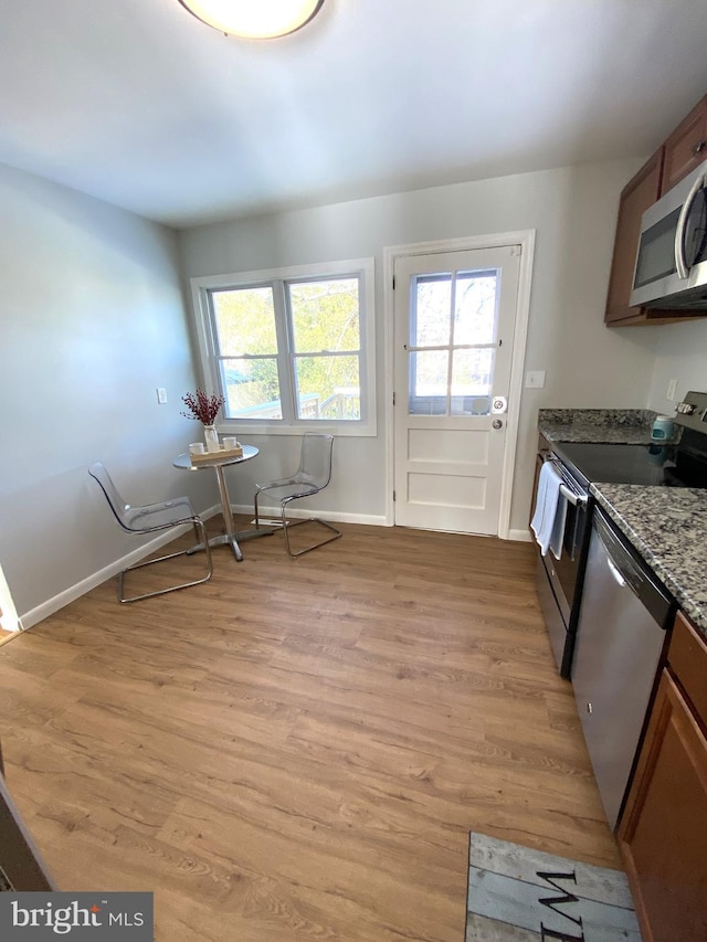 kitchen with stainless steel appliances, a wealth of natural light, and light hardwood / wood-style flooring