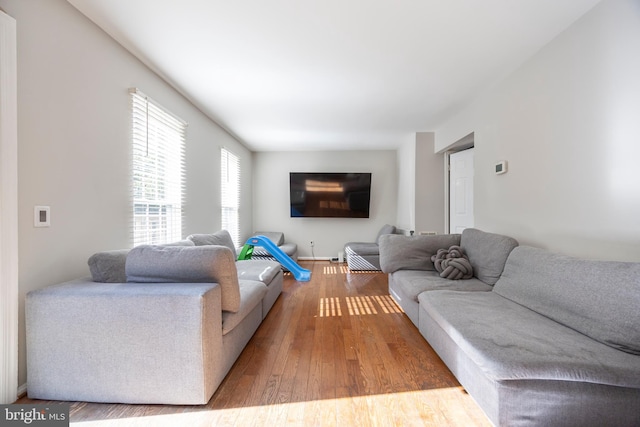 living room featuring hardwood / wood-style flooring