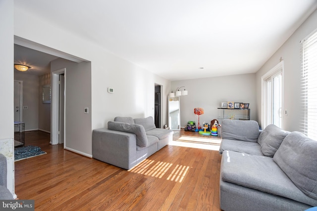 living room featuring wood-type flooring