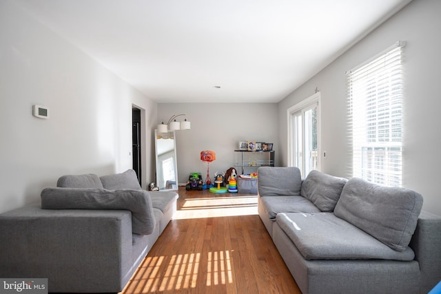 living room with wood-type flooring