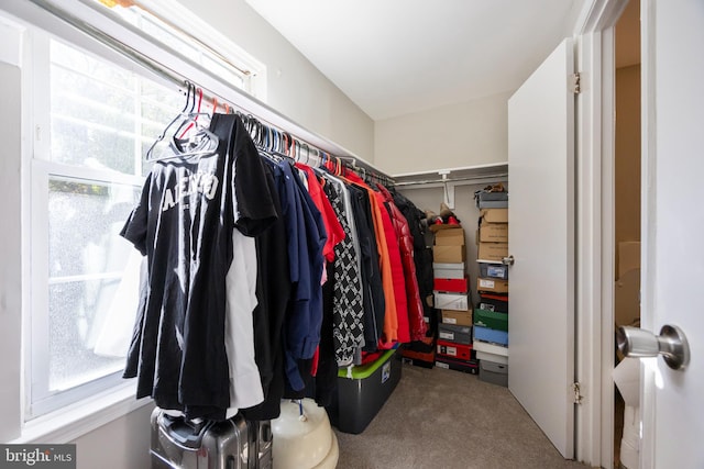 spacious closet with carpet floors