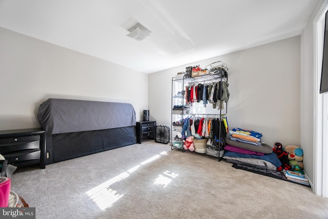 bedroom featuring carpet floors