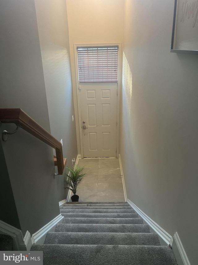 stairs featuring carpet flooring