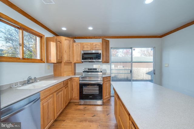 kitchen featuring sink, plenty of natural light, light hardwood / wood-style floors, and appliances with stainless steel finishes