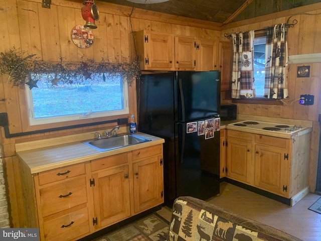 kitchen featuring sink, black fridge, dark hardwood / wood-style floors, and wood walls