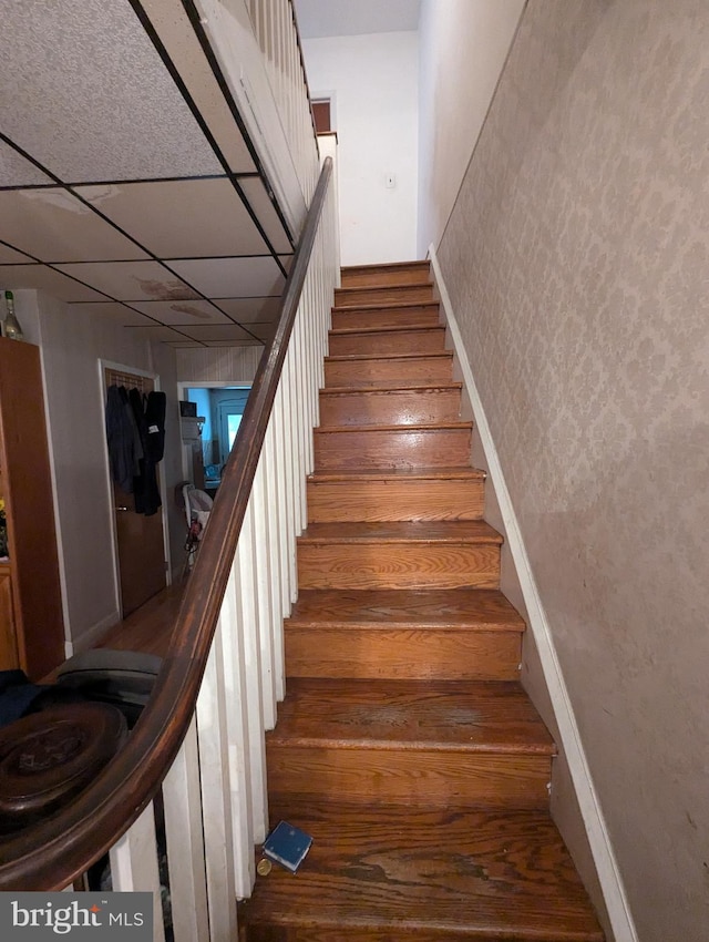 staircase with wood-type flooring and a drop ceiling