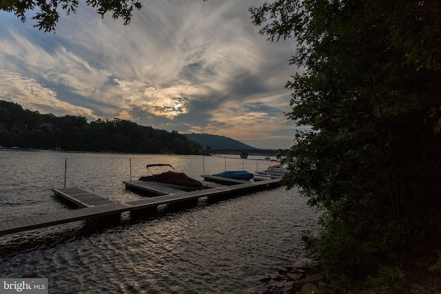 dock area featuring a water view