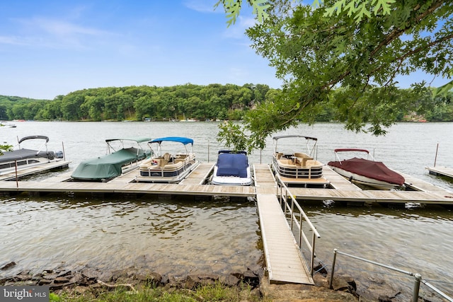 dock area featuring a water view