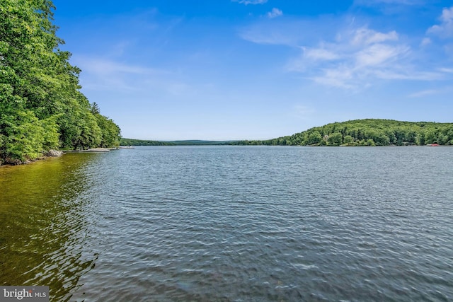 428 Pinnacle Dr, Swanton, MD 21561 - view of water feature with a forest view