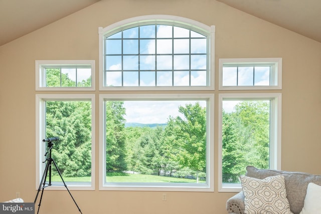 doorway featuring lofted ceiling