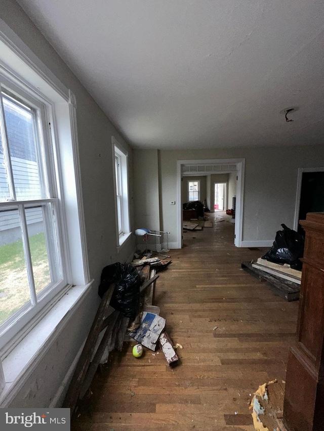 interior space with baseboards, a healthy amount of sunlight, and wood finished floors
