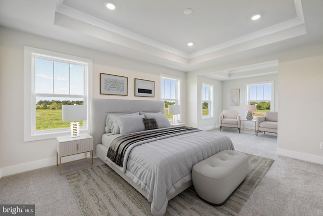 bedroom featuring multiple windows, light colored carpet, and a raised ceiling