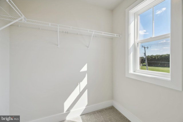 spacious closet with carpet floors