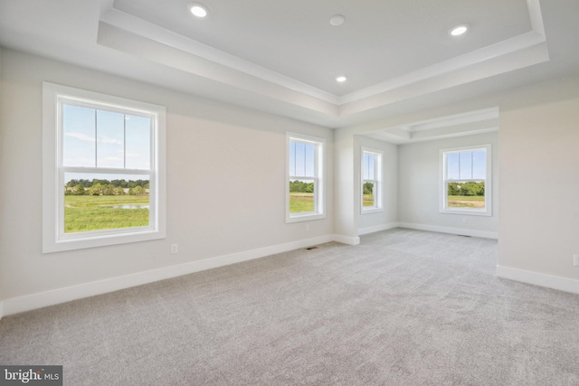 unfurnished room with light carpet, a healthy amount of sunlight, and a tray ceiling