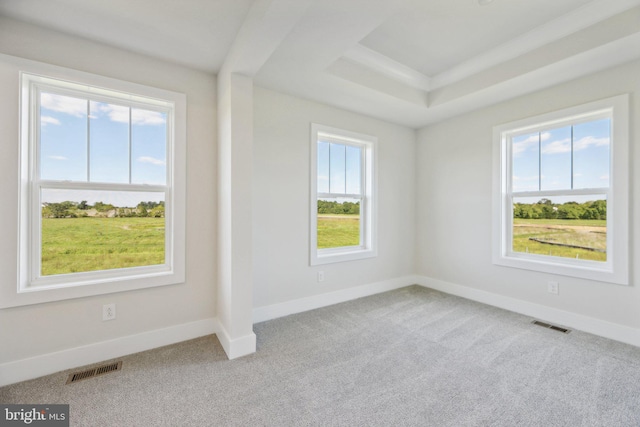 carpeted spare room with a healthy amount of sunlight and a tray ceiling