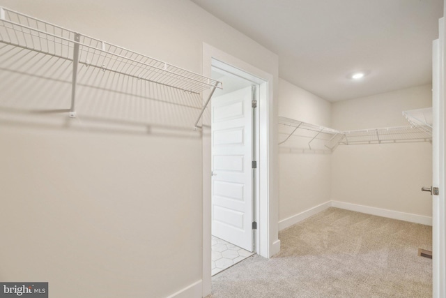 spacious closet with light colored carpet