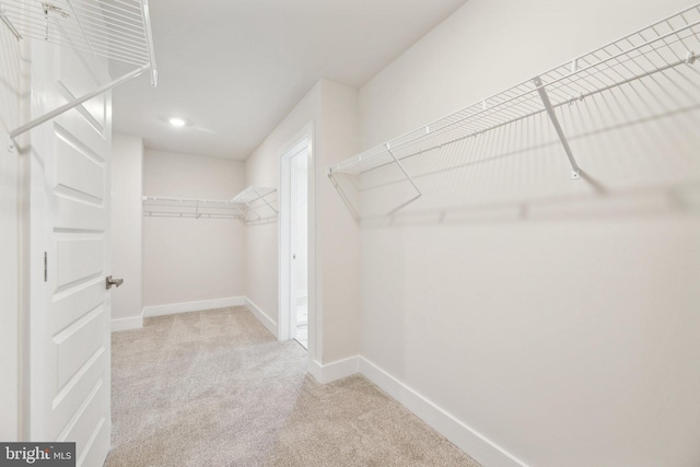 walk in closet featuring light carpet